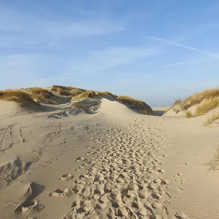 On A Vacation Park Casa vacanze *