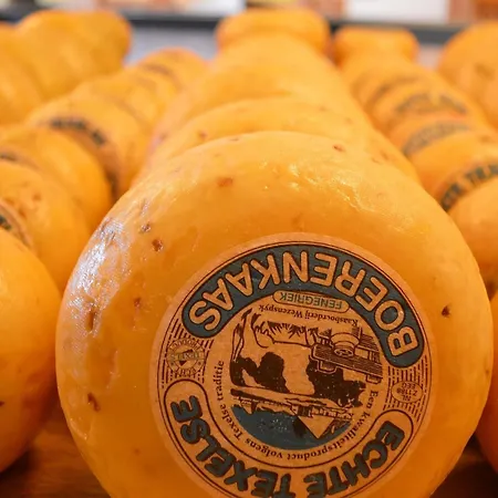 On A Vacation Park *