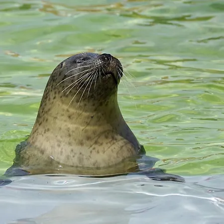 On A Vacation Park Casa de Férias *