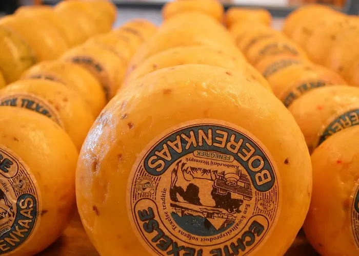 On A Vacation Park *