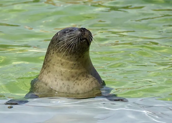 On A Vacation Park Feriehus *